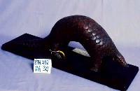 海南穿山甲藏品圖，第2張